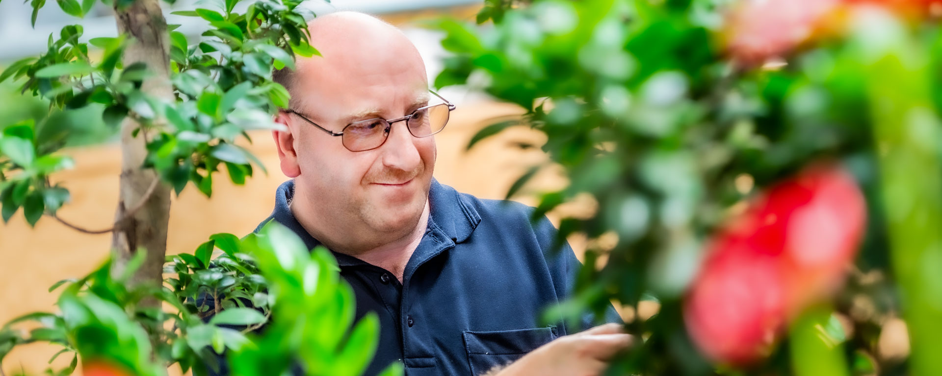 Pflanzenpflege Ein Klient der Augustinum Gärtnerei Hollern pflegt Pflanzen im Gewächshaus