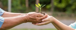 Die Zustiftung Die Zustiftung