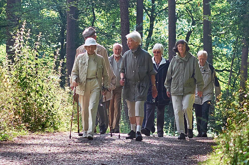 Gut zu Fuß Wandergruppe im Wald