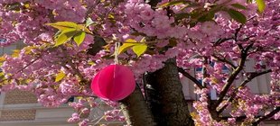 Frühlingsmarkt im Augustinum Gebasteltes Osterei mit Kirschblüten im Hintergrund