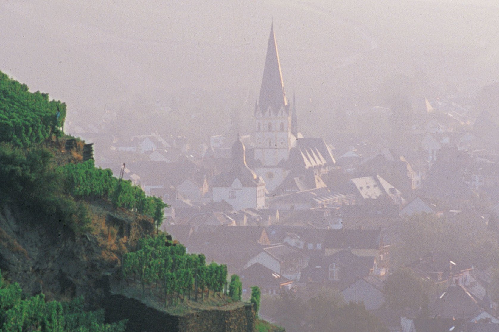 Jahrtausende alte Kulturlandschaft prägt die Umgebung der Seniorenresidenz Augustinum Bad Neuenahr. Jahrtausende alte Kulturlandschaft prägt die Umgebung der Seniorenresidenz Augustinum Bad Neuenahr.