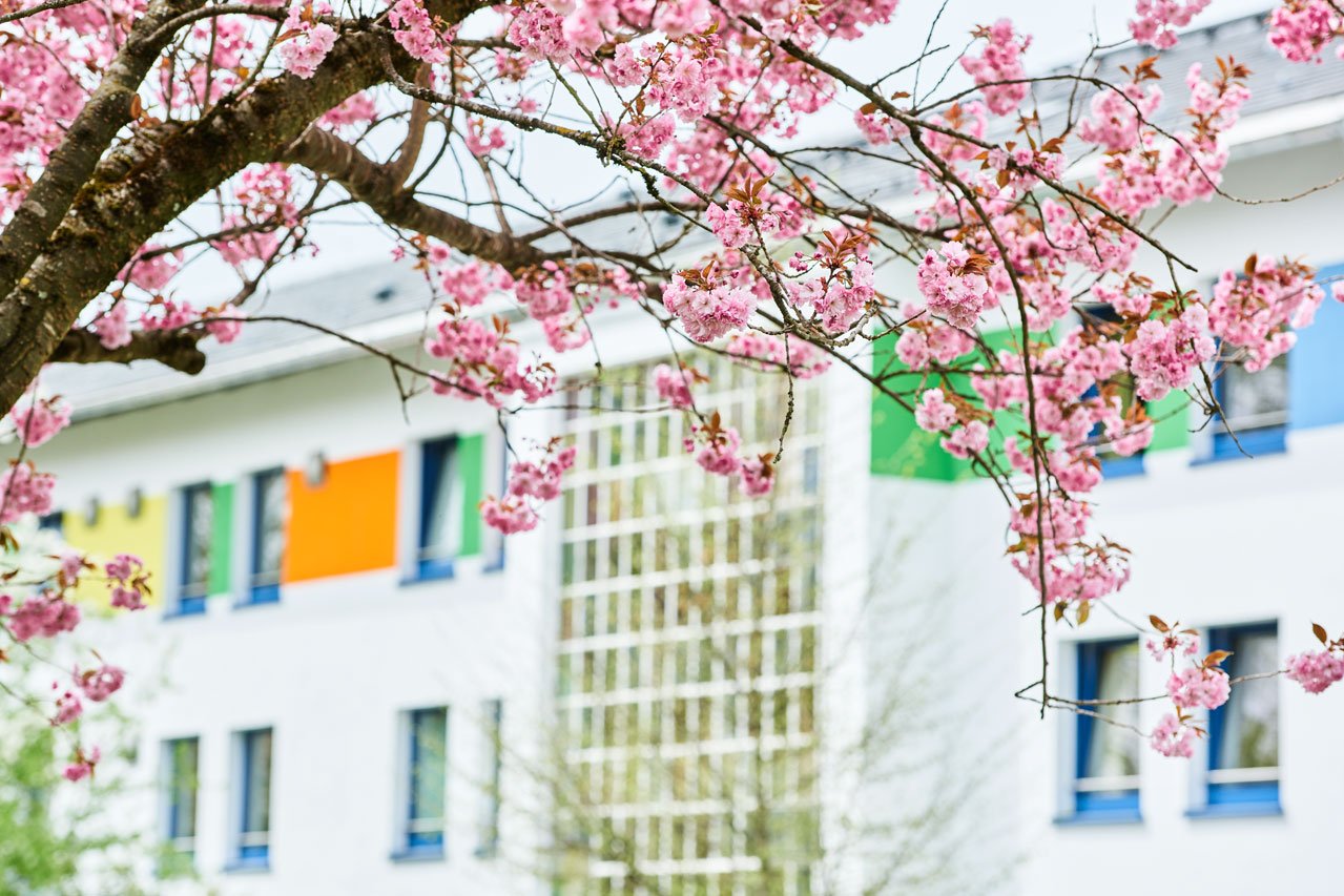 Schulgebäude Außenansicht Das Gebäude der Samuel-Heinicke-Fachoberschule