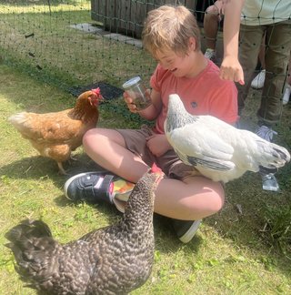 Da lachen alle Hühner Da lachen alle Hühner