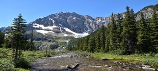 Amerikanische Gebirgslandschaft