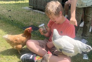 Die Otto-Steiner-Schule ist aufs Huhn gekommen! Die Otto-Steiner-Schule ist aufs Huhn gekommen!