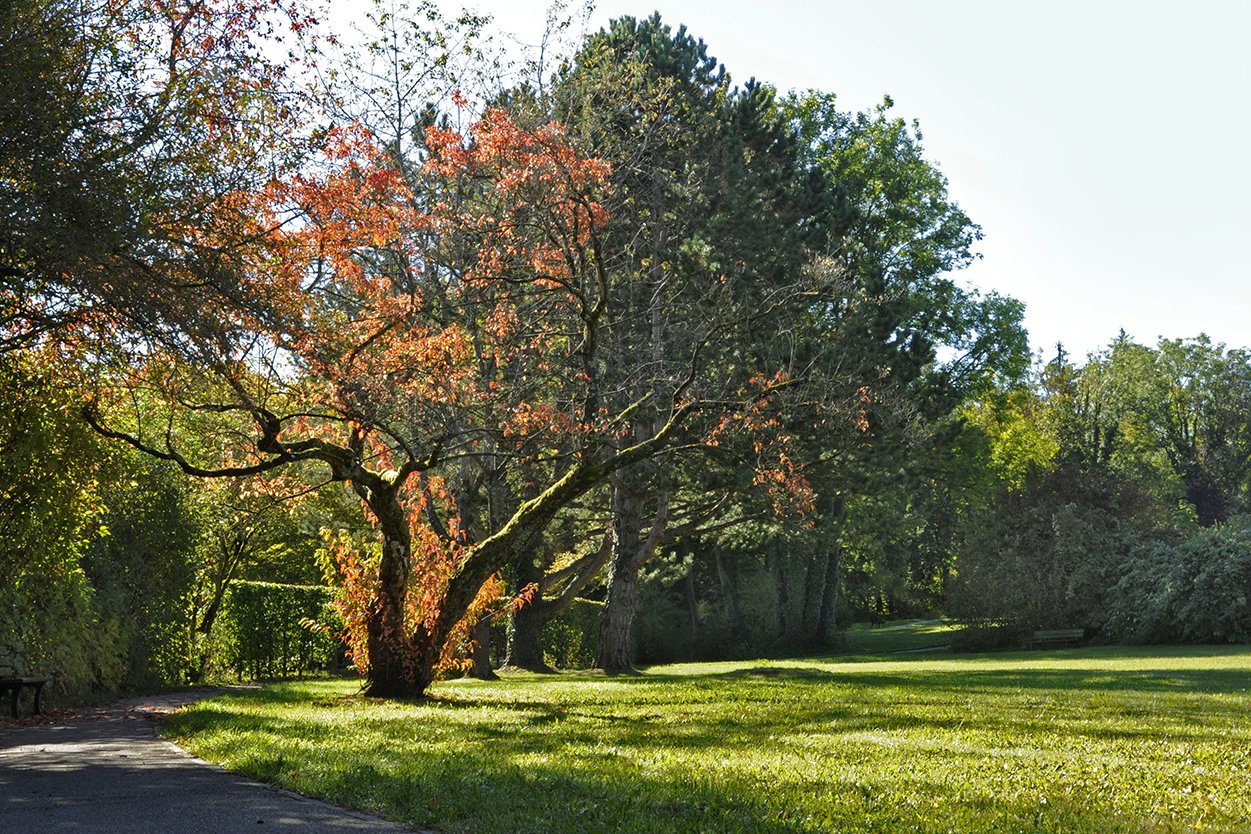 Der große hauseigene Park bietet viele Möglichkeiten, aktiv zu sein, zum Beispiel Nordic Walking oder Yoga. Der große hauseigene Park bietet viele Möglichkeiten, aktiv zu sein, zum Beispiel Nordic Walking oder Yoga.