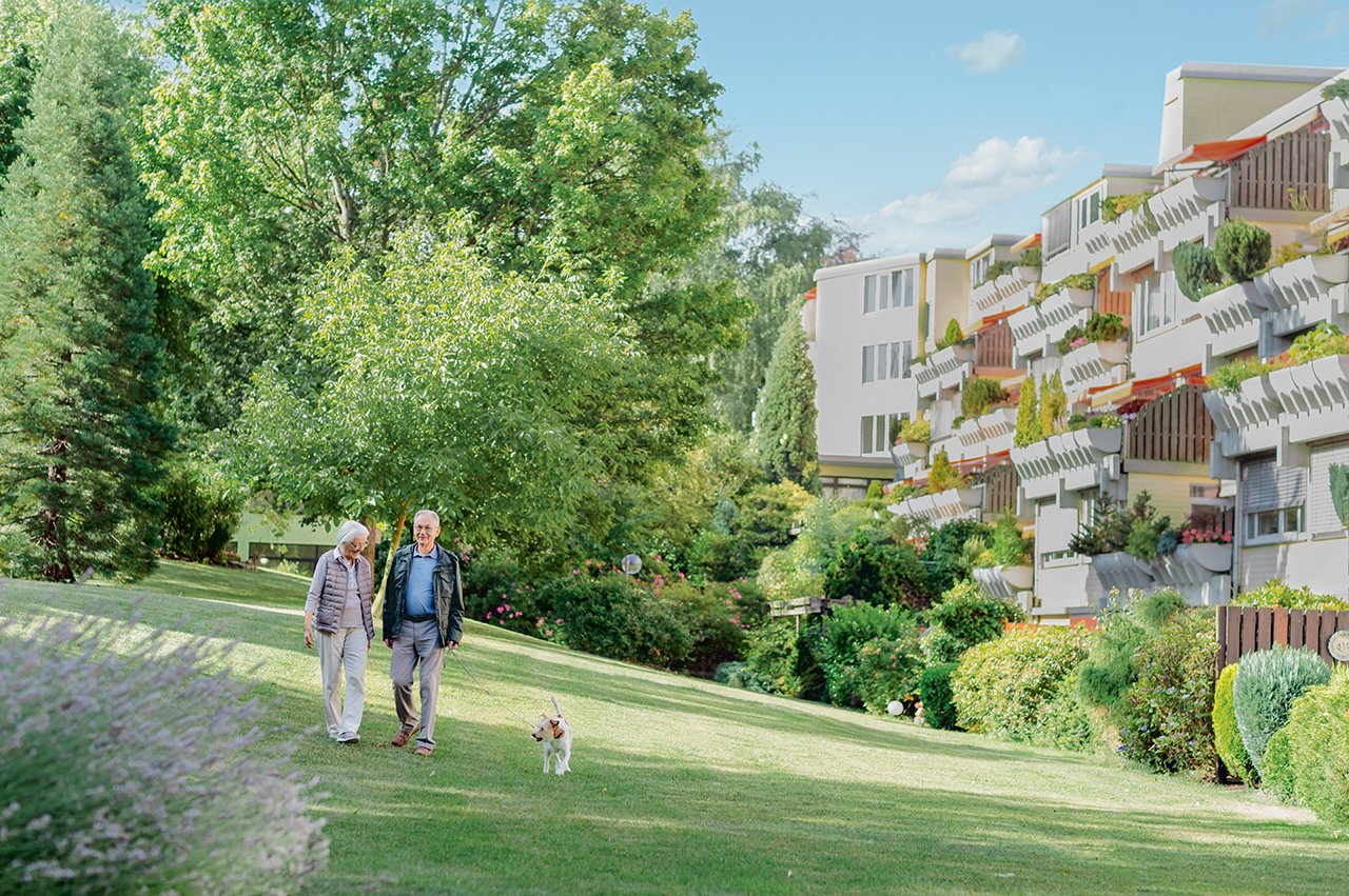 Der große Park lädt zu Spaziergängen ein. Der große Park lädt zu Spaziergängen ein.