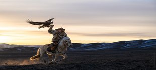 Ein Mann in traditioneller mongolischer Tracht auf einem Pferd mit einem Adler auf seiner rechten Hand