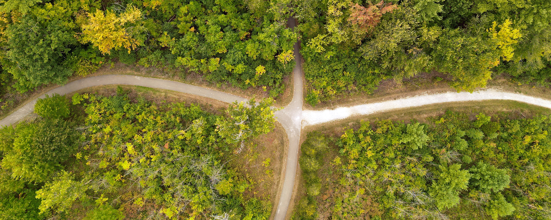 Wegekreuz in lichtem Wald aus der Vogelperpektive Vogelperspektive auf sich kreuzende Wege in einem Wald