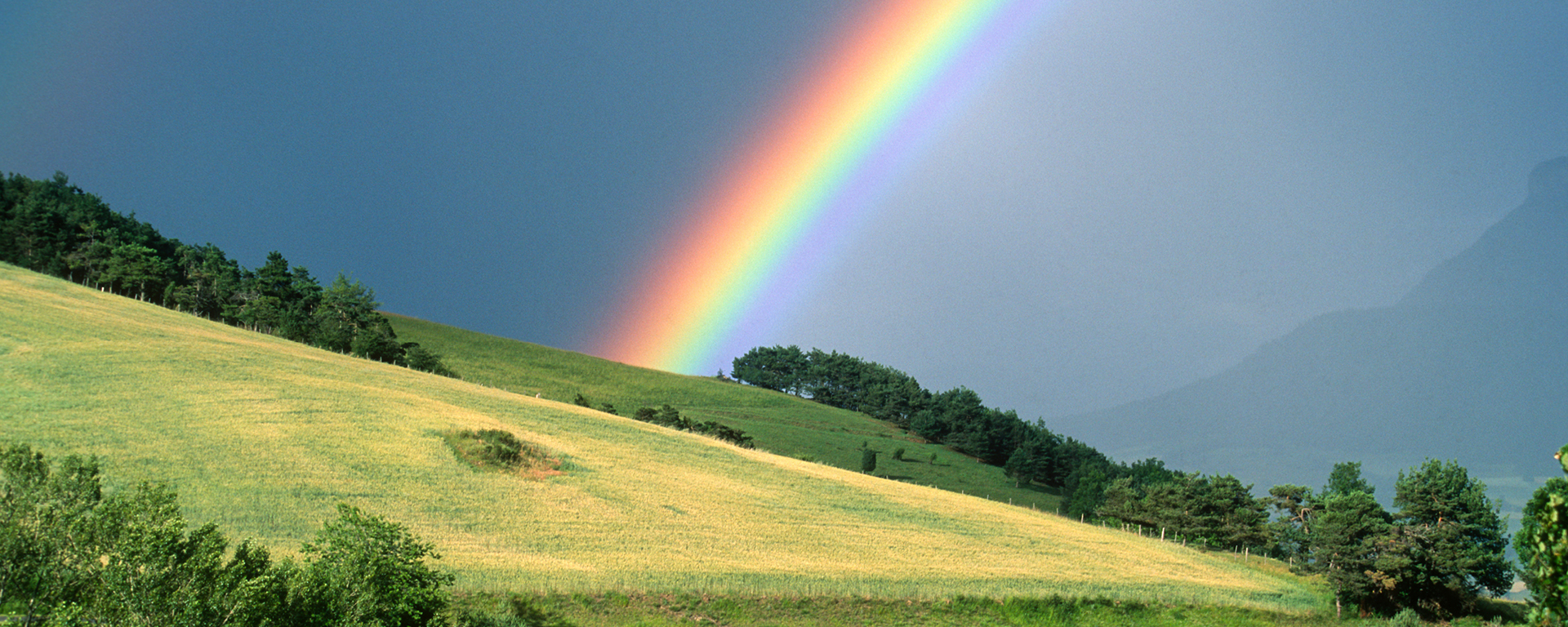 Regenbogen hinter Wiese Ein Regenbogen hinter einer Wiese
