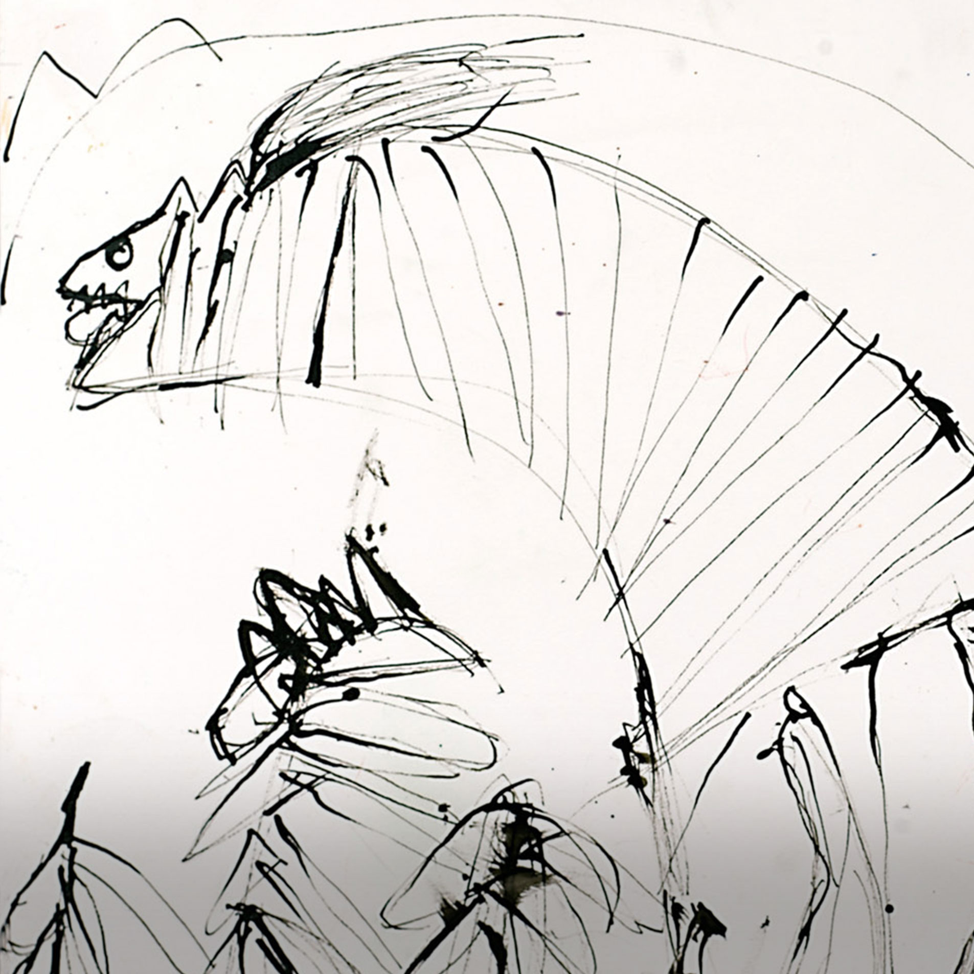 Andrea E. Leierseder Zeichnung von Andrea E. Leierseder Atelier Augustinum