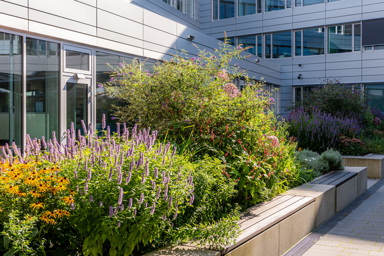 Garten- und Landschaftsbau Gärtnerei Hollern Garten- und Landschaftsbau