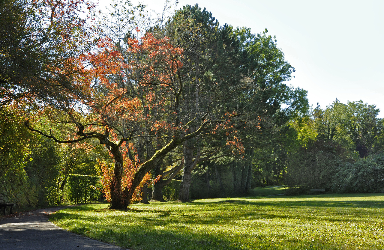 Der große hauseigene Park bietet viele Möglichkeiten, aktiv zu sein, zum Beispiel Nordic Walking oder Yoga. Der große hauseigene Park bietet viele Möglichkeiten, aktiv zu sein, zum Beispiel Nordic Walking oder Yoga.