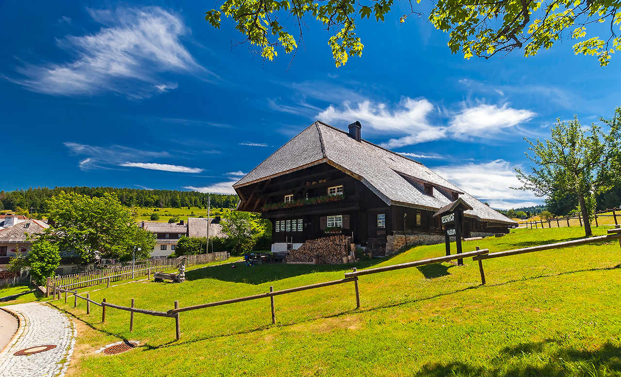 Der Schwarzwald mit seinen vielen Ausflugszielen liegt direkt vor der Tür. Der Schwarzwald mit seinen vielen Ausflugszielen liegt direkt vor der Tür.