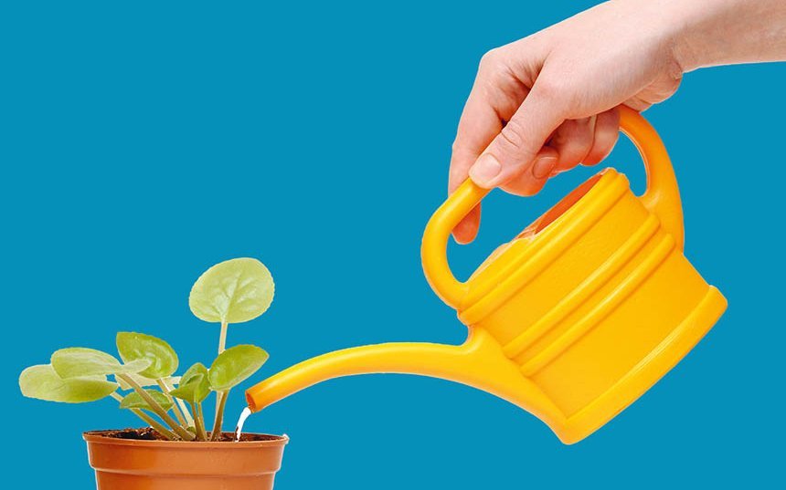 Hand mit gelber Gießkanne gießt Toppflanze; Text im Bild: Tu Gutes, dein Nachbar erfährt es nie. ...