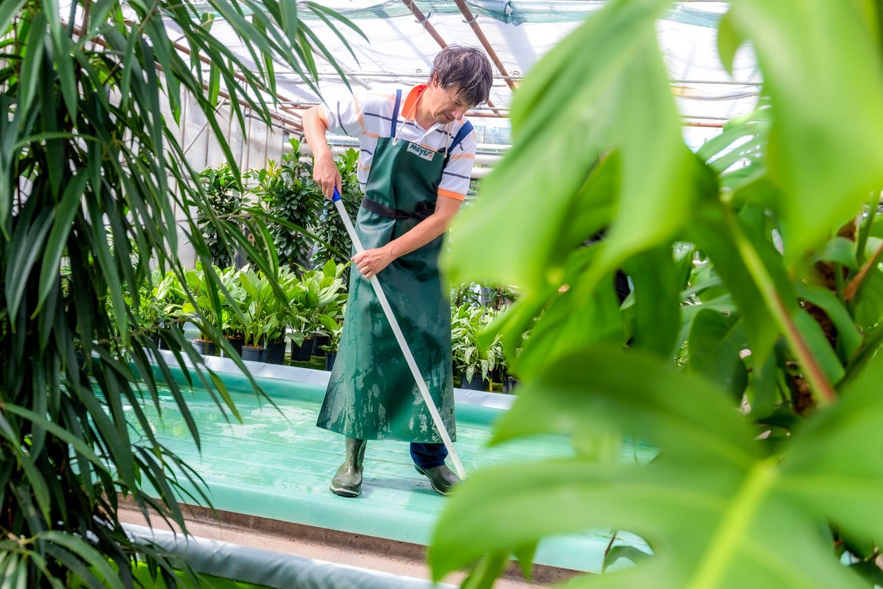 Becken reinigen Ein Klient der Augustinum Gärtnerei Hollern reinigt die Hydrobecken