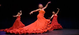 Flamenco Flamenco