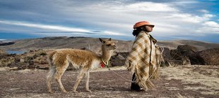 Peru Im Vordergrund Frau mit Alpaka an der Leine, im Hintergrund Berge