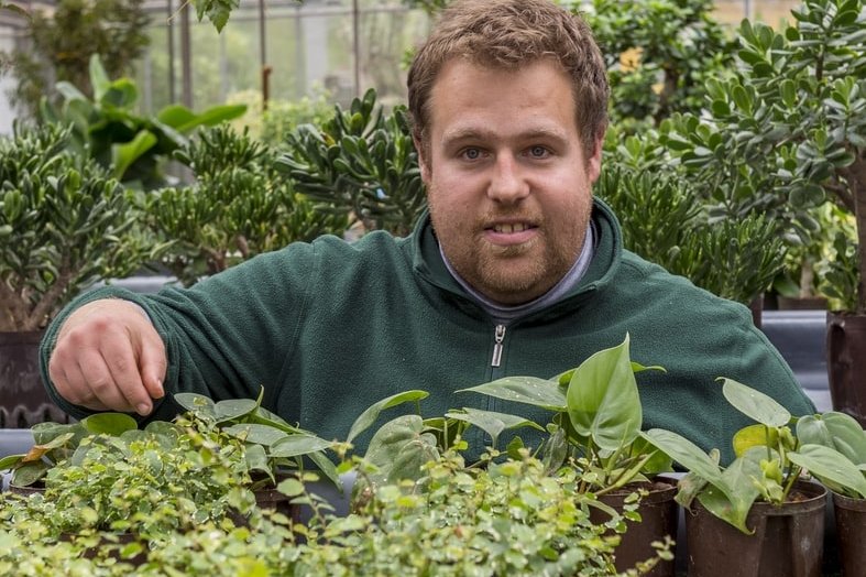Pflanzen auf Tischbeete stellen Ein Klient der Gärtnerei Hollern stellt Pflanzen auf Tischbeete
