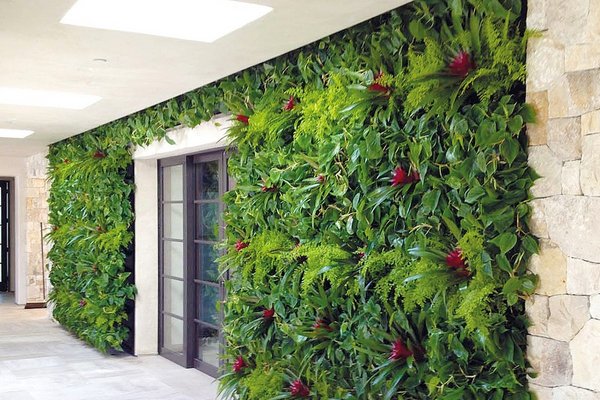 Grüne Wand Eine grüne bepflanzte Wand