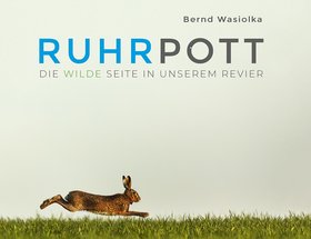 Wilder Ruhrpott