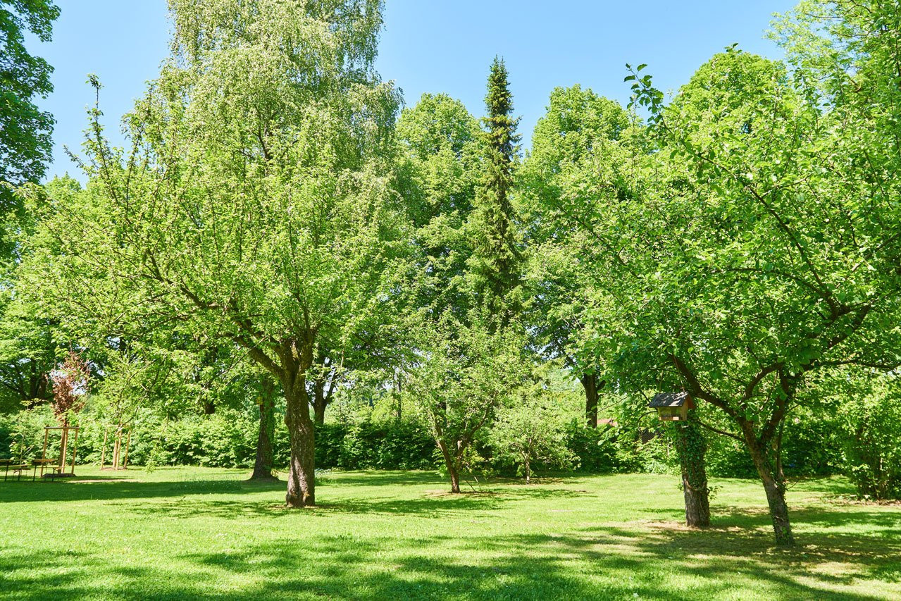 Garten Augustinum Förderbereich Sondermeierstraße Augustinum Förderbereich Sondermeierstraße