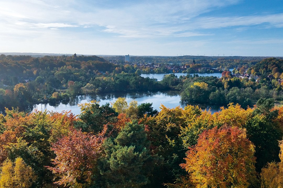 Besonders im Herbst, wenn die Blätter in einer schier unendlichen Farbenpracht leuchten, beeindruckt der Ausblick von der Dachterrasse. Besonders im Herbst, wenn die Blätter in einer schier unendlichen Farbenpracht leuchten, beeindruckt der Ausblick von der Dachterrasse.