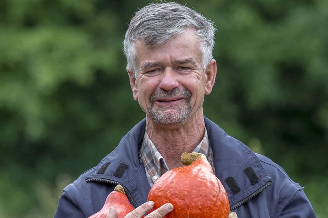 Kürbisernte Ein Klient der Augustinum Gärtnerei Hollern erntet Kürbisse