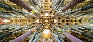 Blick auf ein von Säulen getragenes, lichtdurchflutetes Deckengewölbe Blick auf ein von Säulen getragenes, lichtdurchflutetes Deckengewölbe