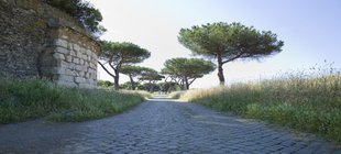 Via Appia, Von Rom nach Brindisi Gepflasterte Straße umrahmt von hohem Gras und Bäumen.