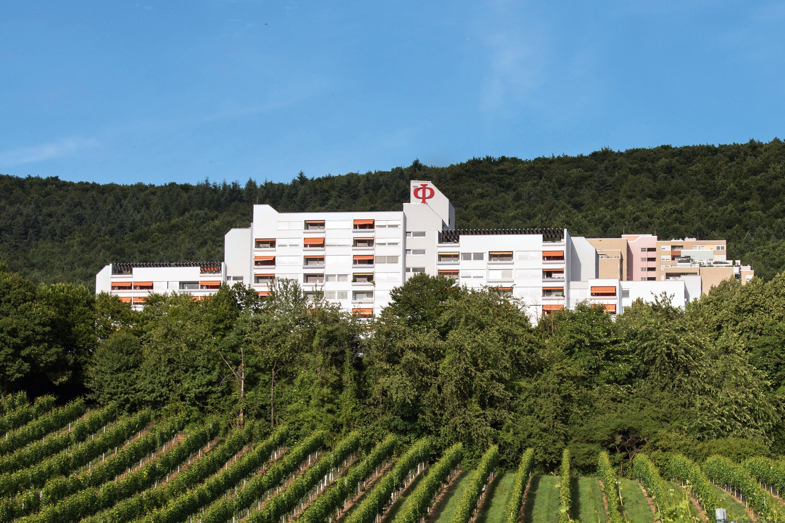 Augustinum Seniorenresidenz Heidelberg Slider 2 Bäume und Grünfläche vor dem Augustinum Heidelberg