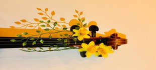 Hals einer Violine mit Frühlingsblumen