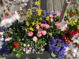 Kulinarischer Frühlingsmarkt mit Kunst- und Krempel-Börse Kulinarischer Frühlingsmarkt mit Kunst- und Krempel-Börse