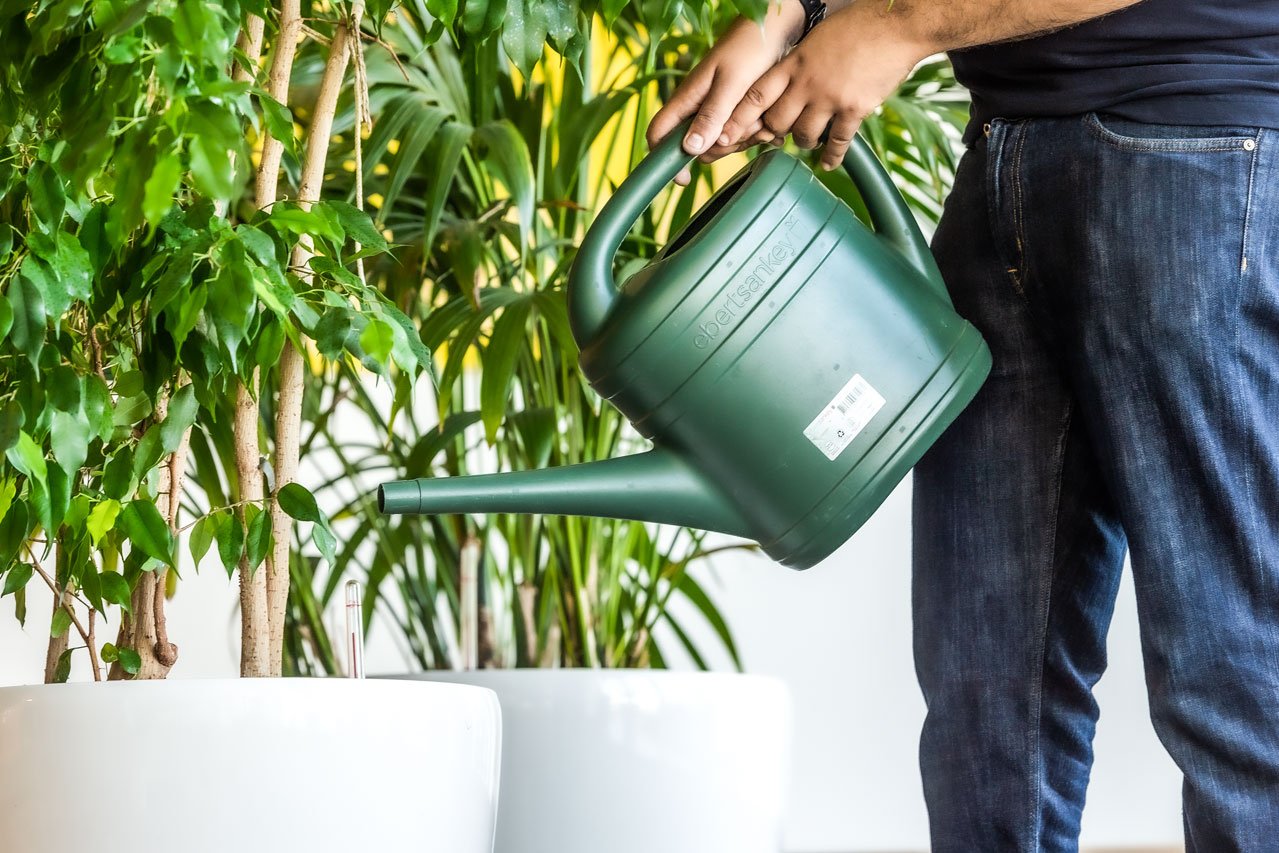 Pflanzengießen Ein Klient der Augustinum Gärtnerei Hollern gießt eine Pflanze