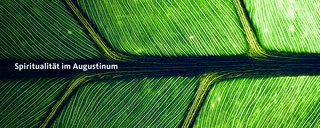 „Seelsorge für alle“ ist jetzt online „Seelsorge für alle“ ist jetzt online