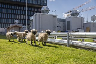 Wohlfühlkollektiv Wohlfühlkollektiv