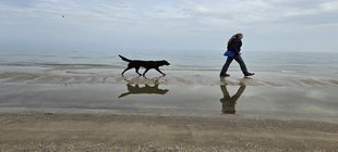 Vortrag über eine Wanderung entlang der Ostsee mit Hund Referentin mit Hund am Stand laufend