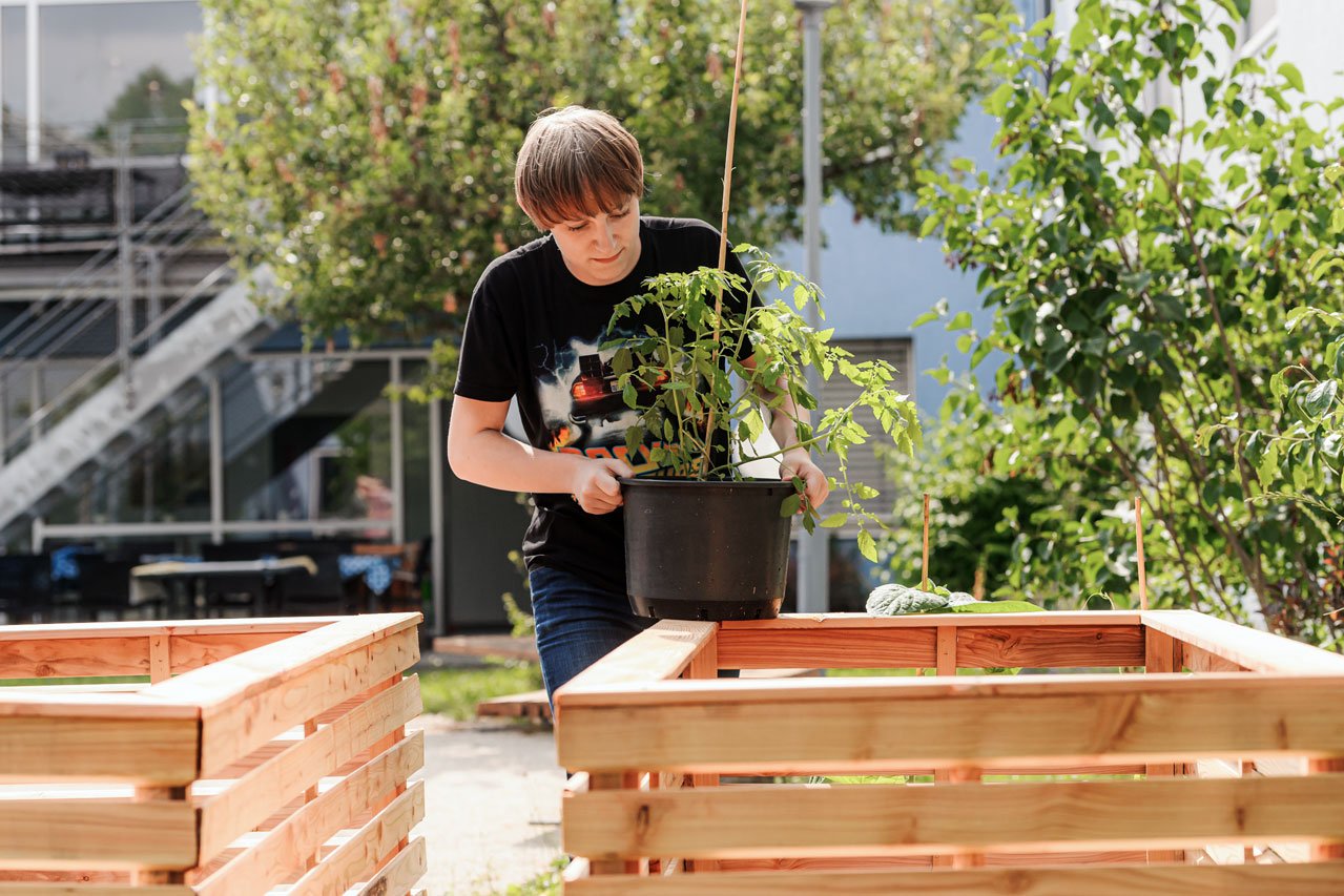 Hochbeet anlegen Ein Jugendlicher legt ein Hochbeet im Garten des Augustinum Studienheims an