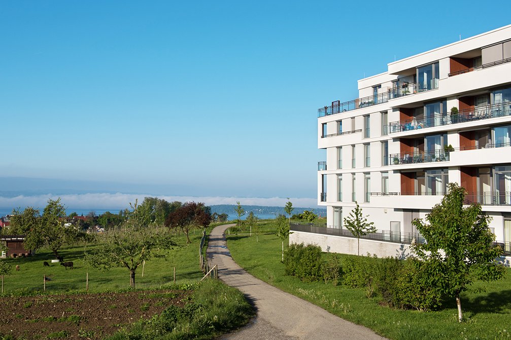 Von allen Wohnungen blicken Sie ins Grüne – und in den meisten Appartements können Sie die Aussicht auf den Bodensee genießen.