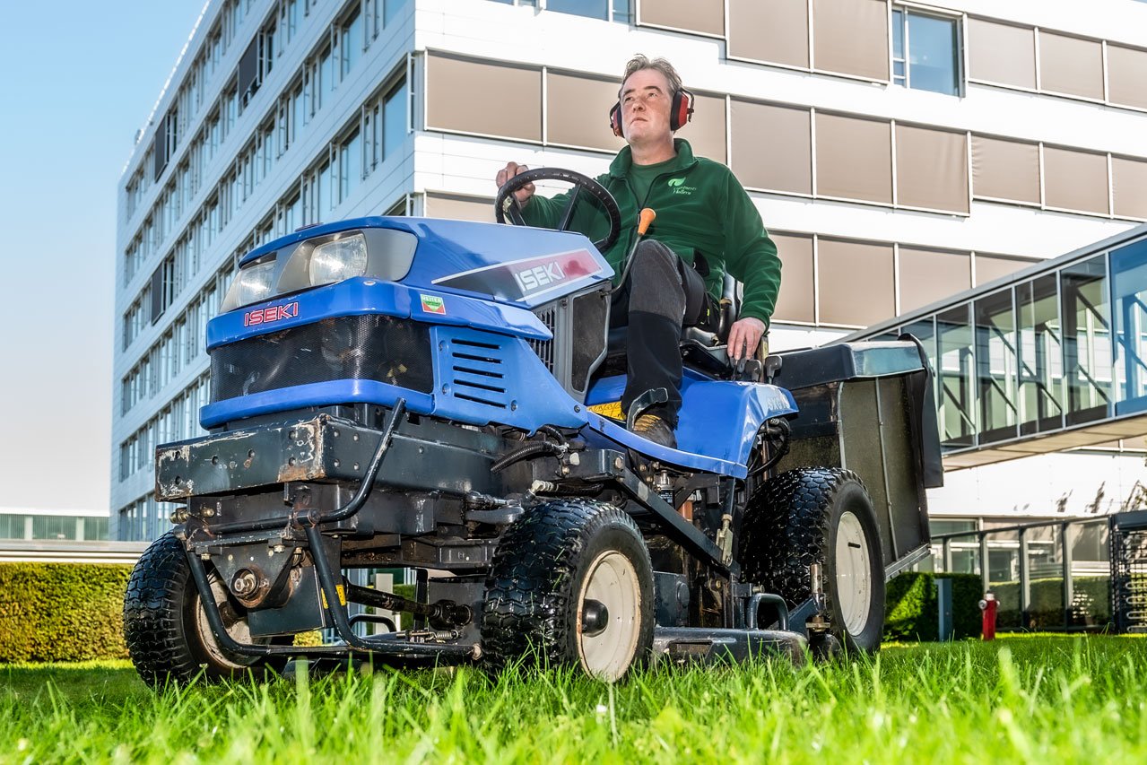 Aufsitzrasenmäher Größere Flächen werden mit einem Aufsitzrasenmäher gemäht