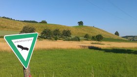 Was sind Drumlins – und wie kommen sie an den Bodensee? Was sind Drumlins – und wie kommen sie an den Bodensee?