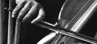 Ausstellungseröffnung mit Fotoclub Hamburg Hand mit Bogen am Cello