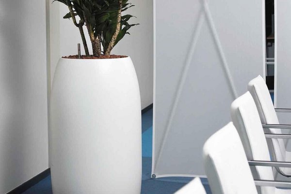 Kunststoffgefäß weiß Eine Pflanze in einem großen Kunststoffgefäß