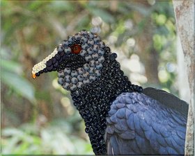 Kunst mit Knopf Kunst mit Knopf