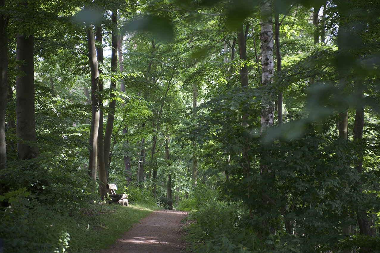 Direkt am Haus beginnen Rad- und Wanderwege in die Lauenburgische Seenlandschaft. Auch der Kurpark und der Wildpark laden zu ausgedehnten Spaziergängen ein. Direkt am Haus beginnen Rad- und Wanderwege in die Lauenburgische Seenlandschaft. Auch der Kurpark und der Wildpark laden zu ausgedehnten Spaziergängen ein.