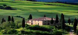 Hügelige, grüne Landschaft mit Bauernhof und Zypressen