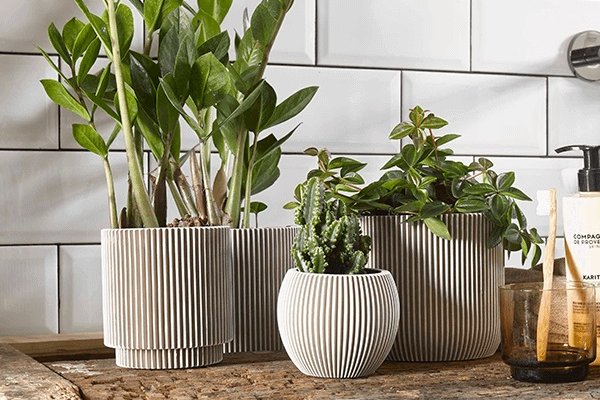 Kleine Kunststoffgefäße Pflanzen in kleinen Kunststoffgefäßen mit strukturierter Oberfläche